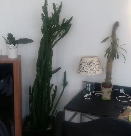 City Apartman Szarajevó